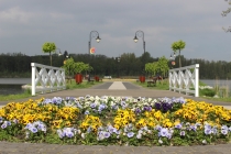 Urzd Miejski w Wolsztynie