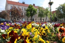 Urzd Miejski w Wolsztynie