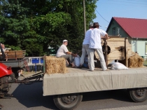 Urzd Miejski w Wolsztynie