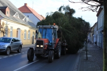 Urzd Miejski w Wolsztynie